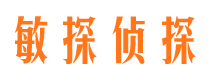 颍东市场调查